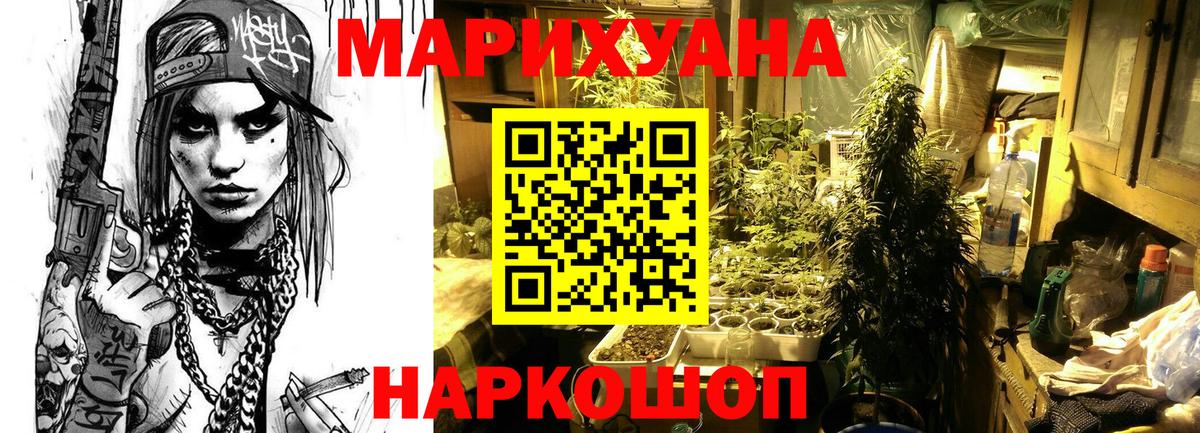 Шишки марихуана конопля Волгоград